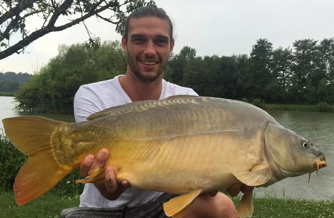 instagram.com/andytcarroll