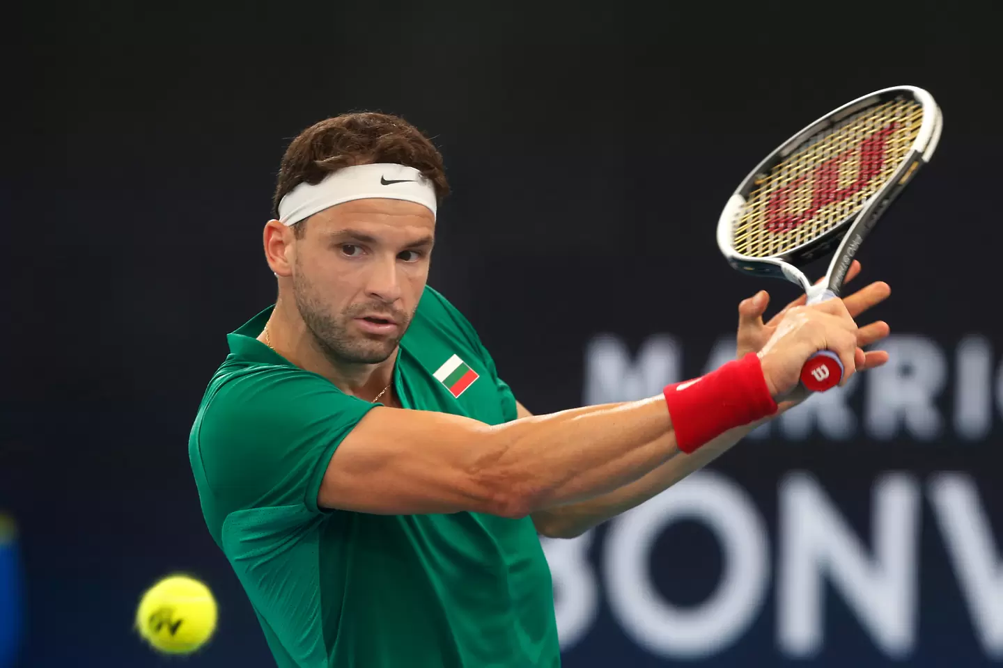 Григор Димитров №17 в схемата на Аustralian Open - Тенис