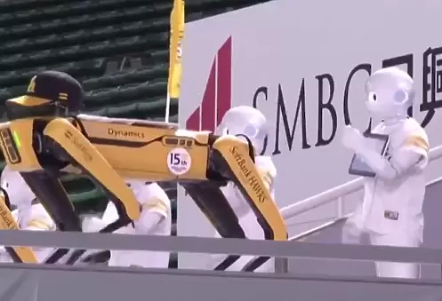 Как да замениш феновете по японски: Със странни танцуващи роботи, разбира се - Любопитно