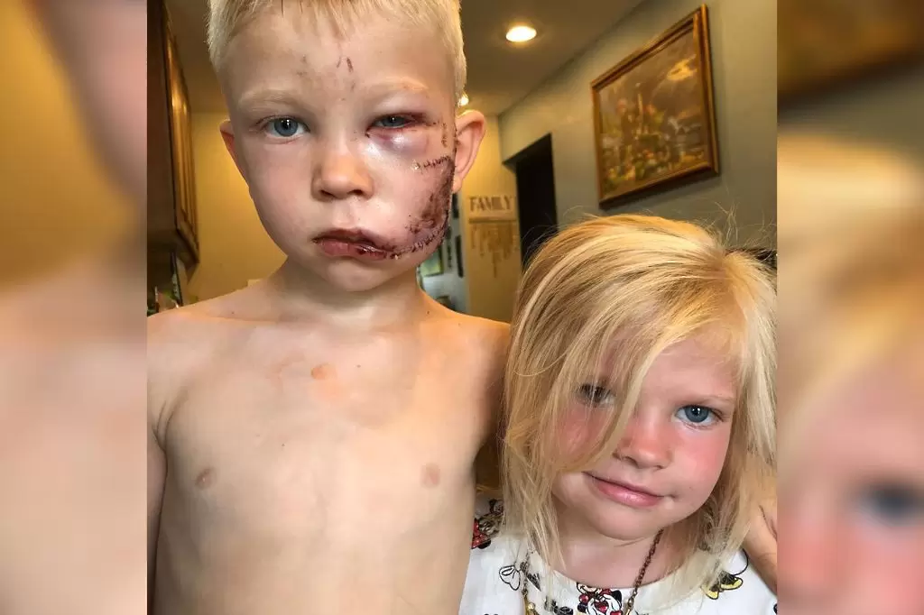 6-годишен герой бе обявен за шампион по бокс след най-смелата постъпка - Бойни спортове