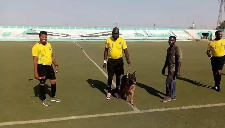 Рефер от Судан води куче, за да го пази на мачовете