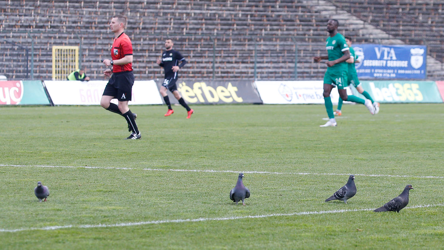 Ботев Враца шокира Славия насред София и заплете още повече борбата в дъното