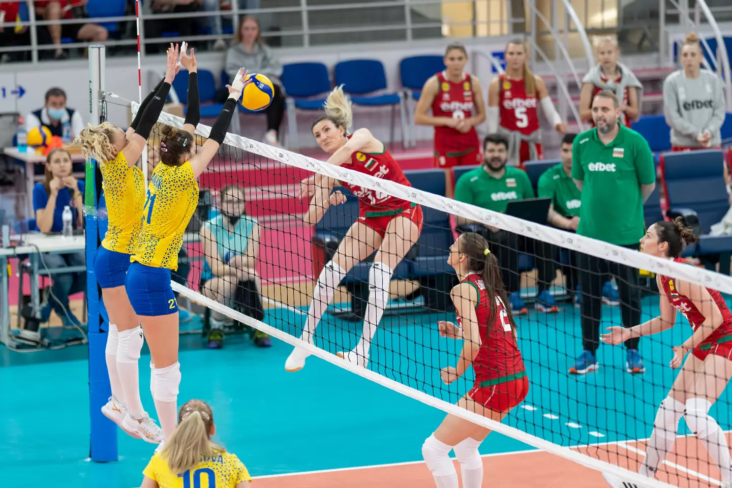 СНИМКИ: cev.eu