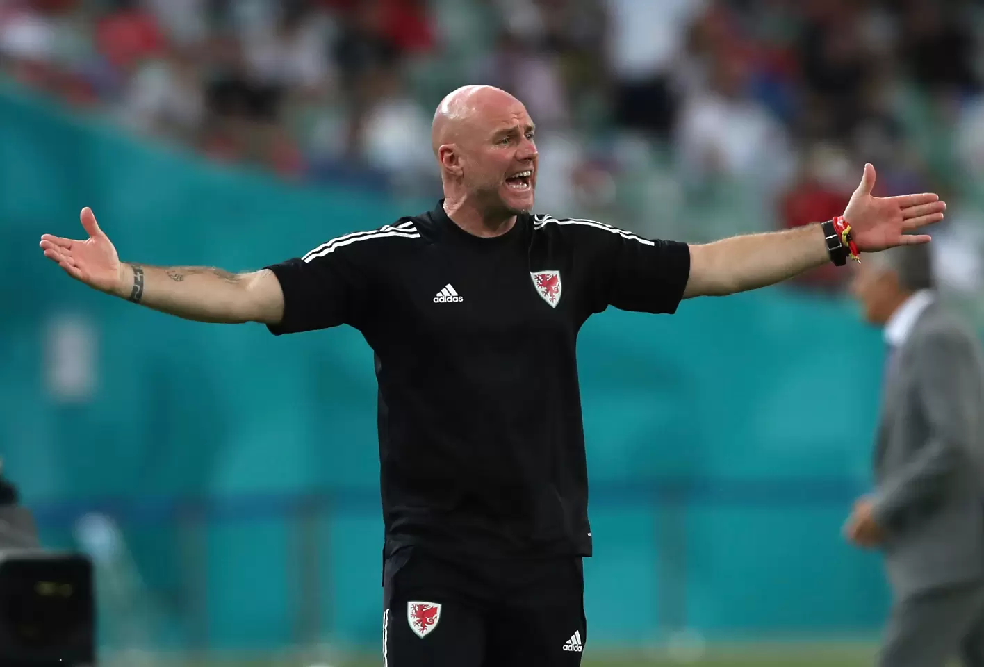 Селекционерът на Уелс горд с играчите