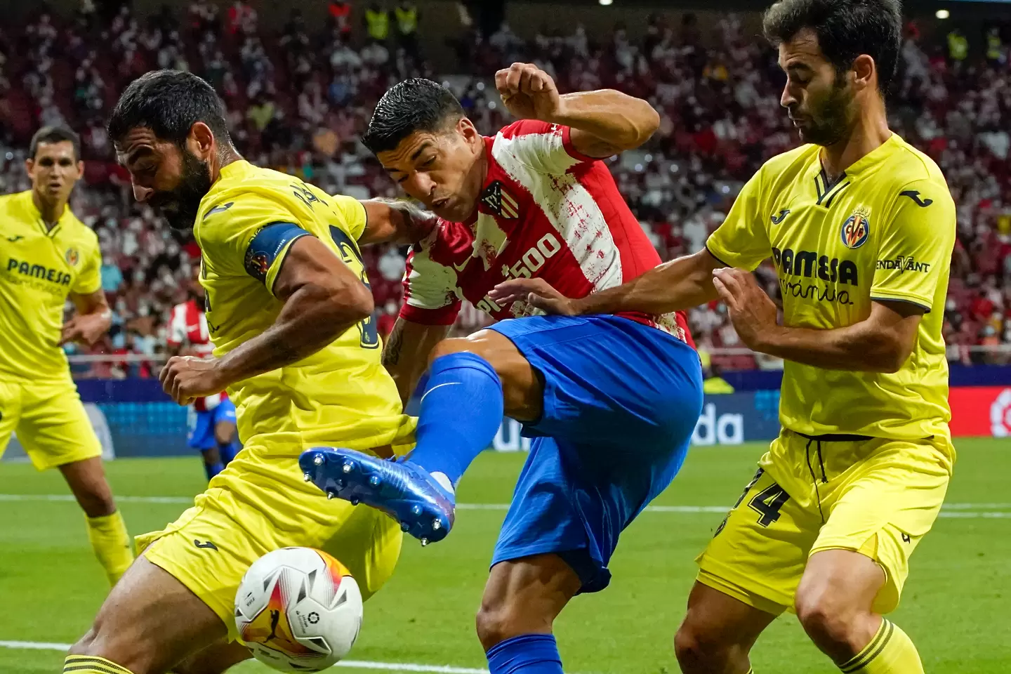 СНИМКИ: БТА