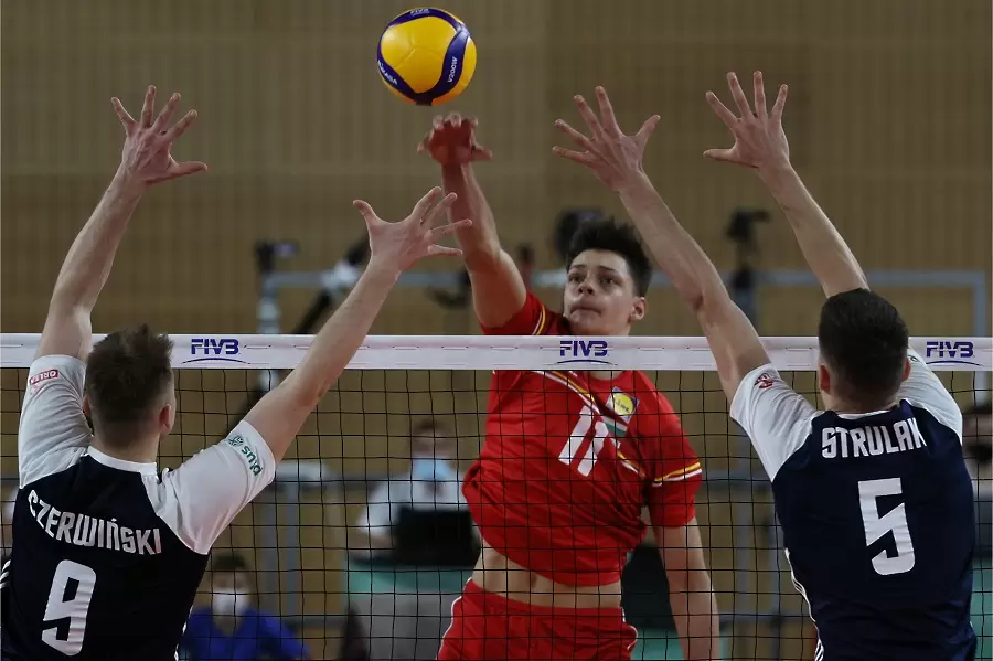 fivb.com