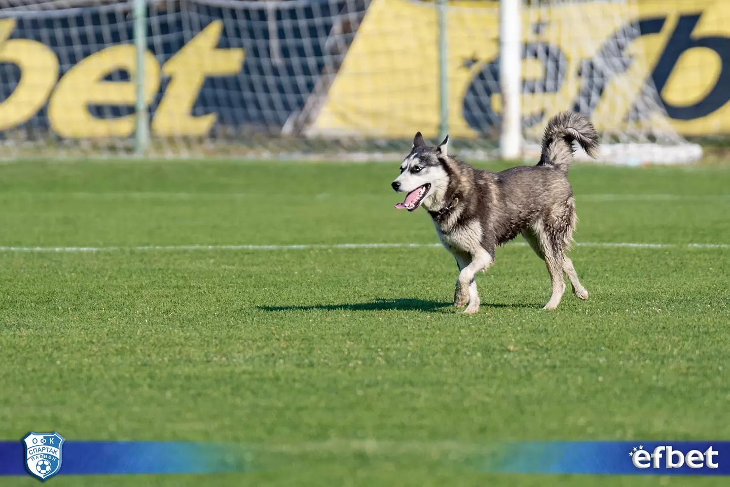 facebook.com/spartakpleven1919