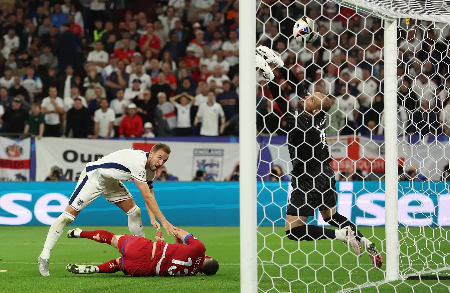 Хари Кейн / Getty Images