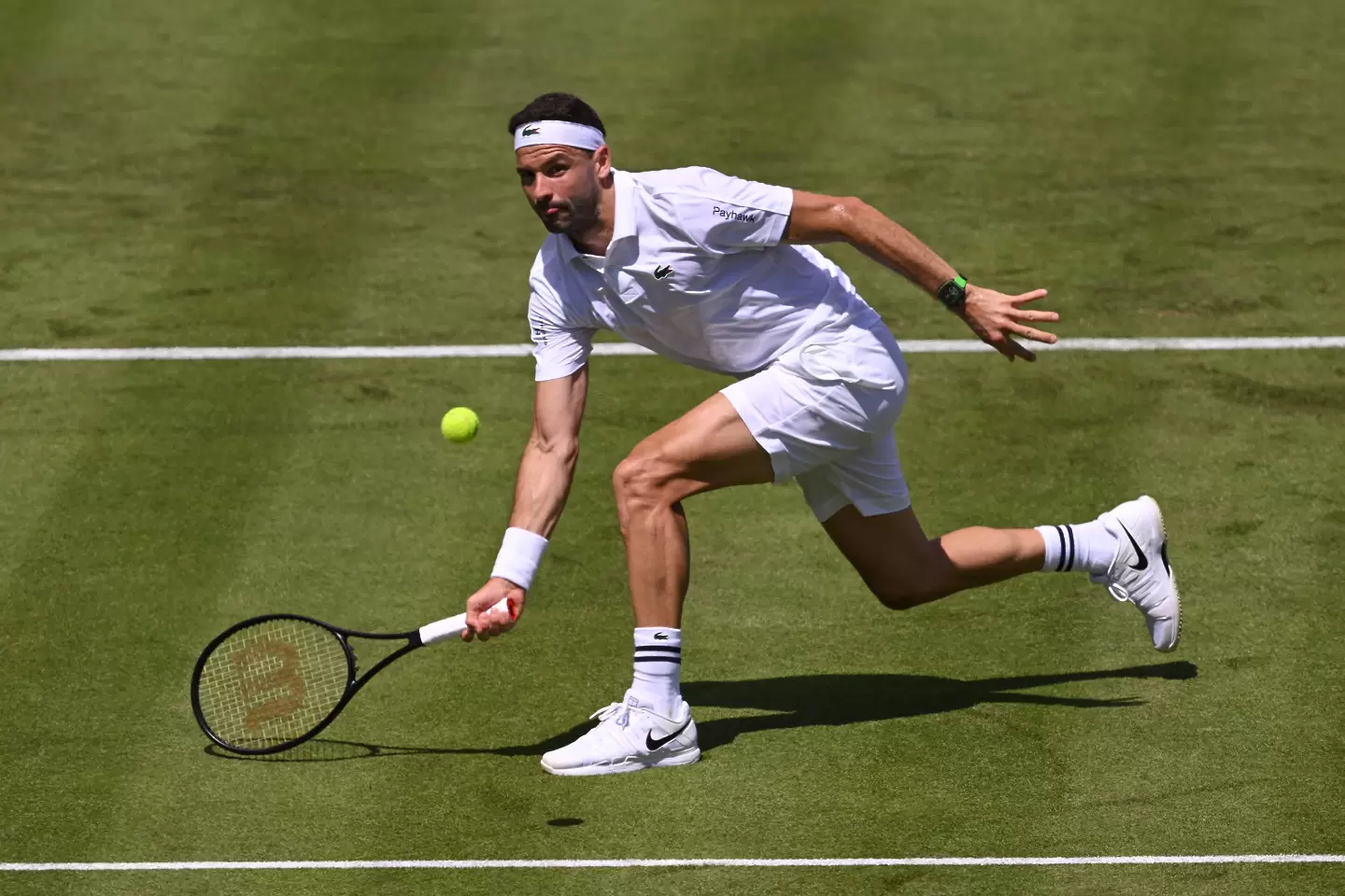 Григор Димитров / Getty Images
