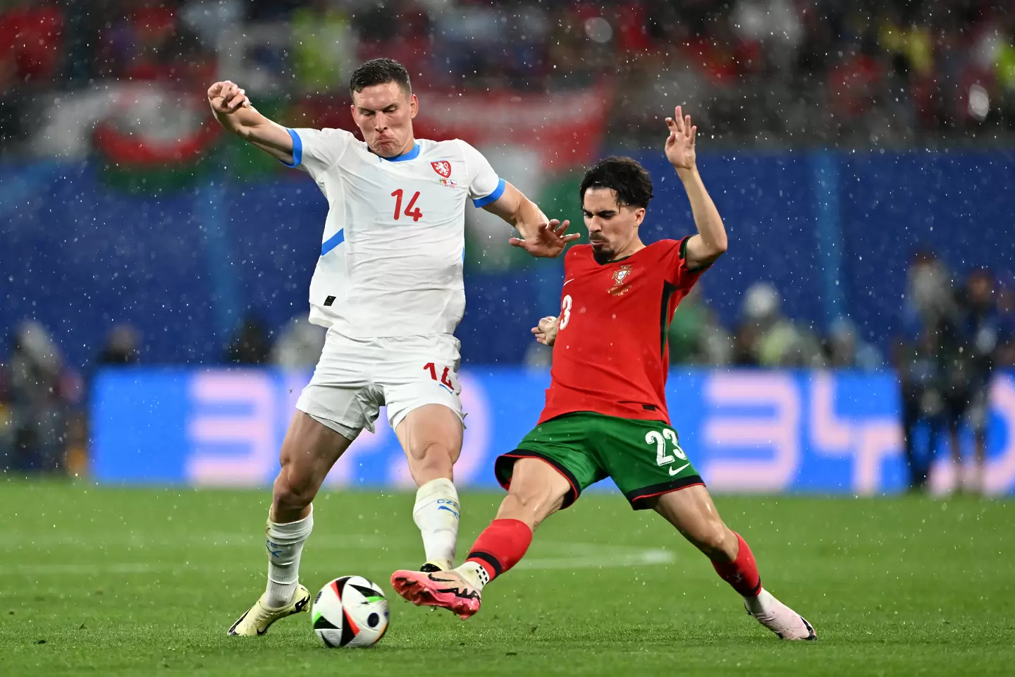 Витиня / Getty Images