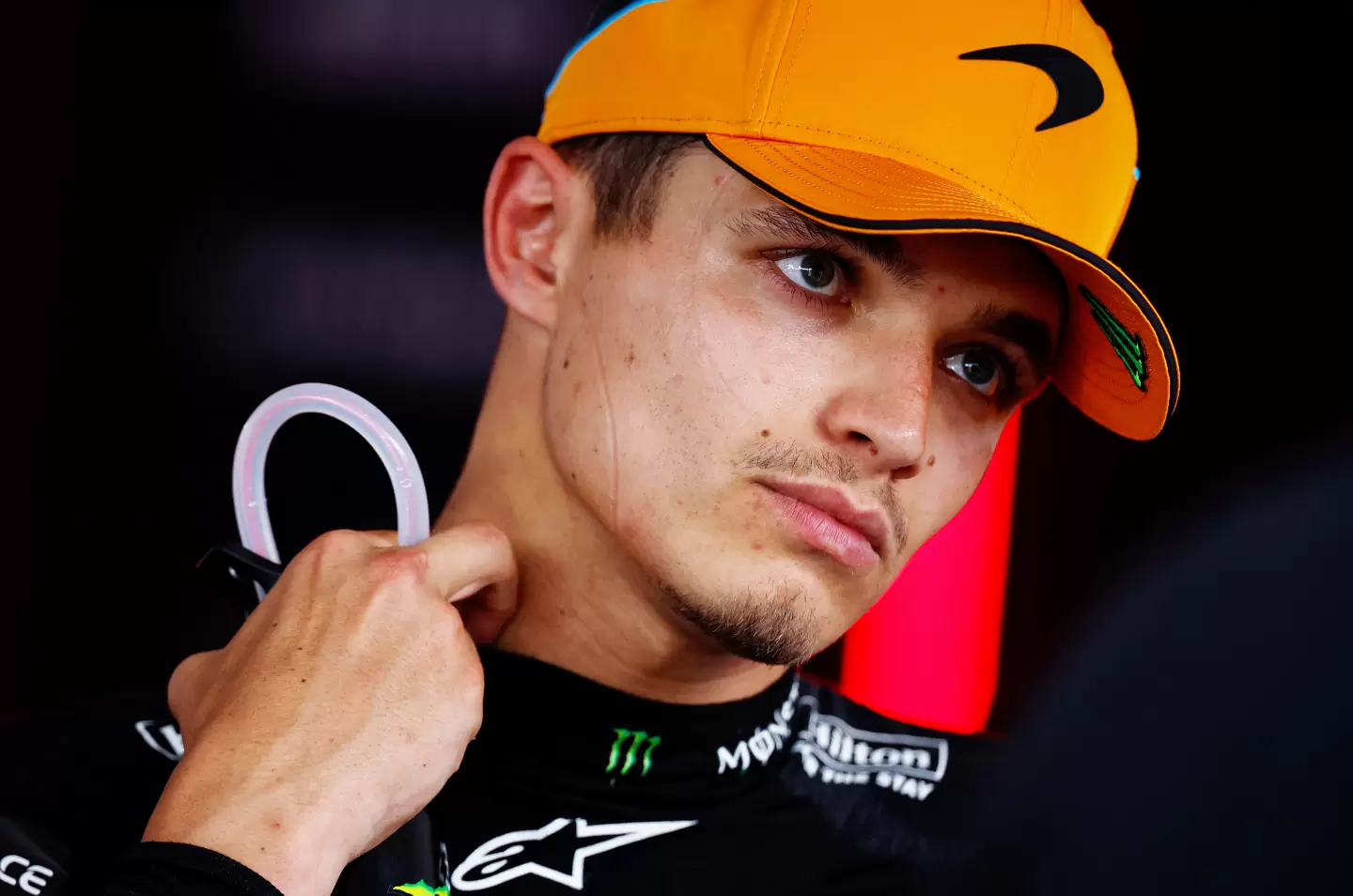 Ландо Норис / Getty Images