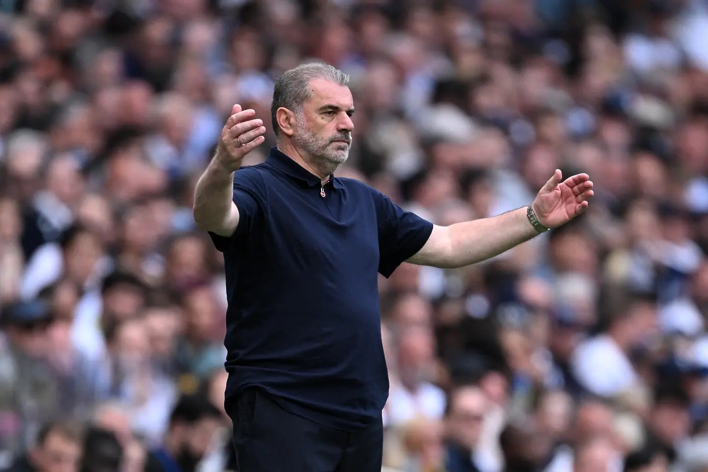 Анге Постекоглу  / Getty Images