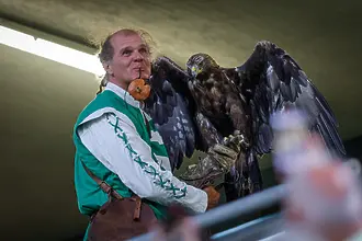 Знак от съдбата? Орелът на Ференцварош не излетя преди Лудогорец (ВИДЕО)