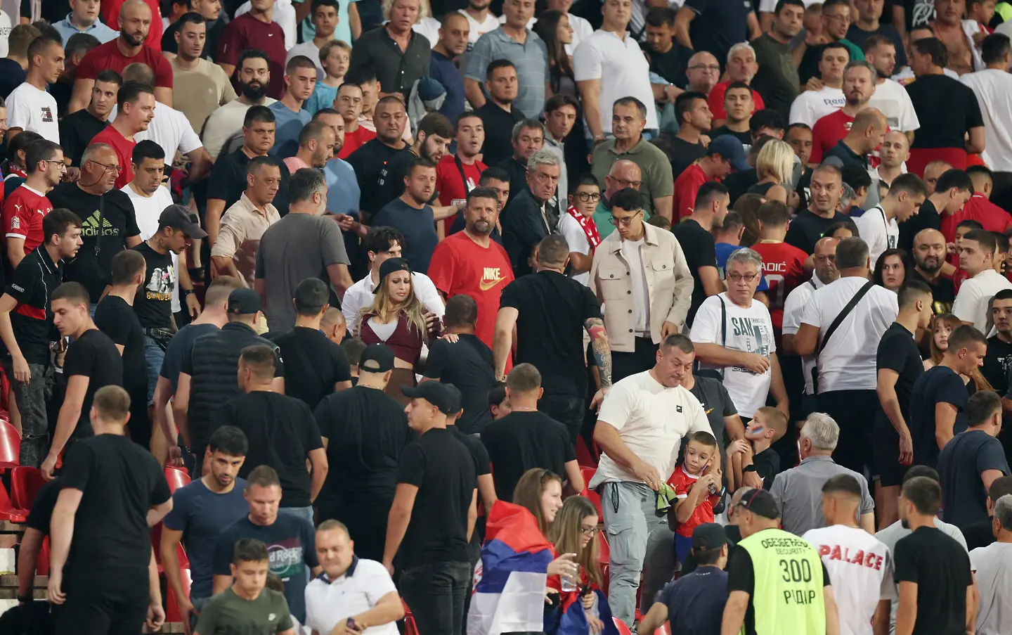 Ексцесии със сръбски фенове на Райко Митич / Getty Images