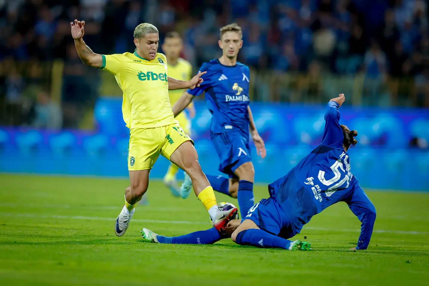 Кайо Видал / startphoto.bg