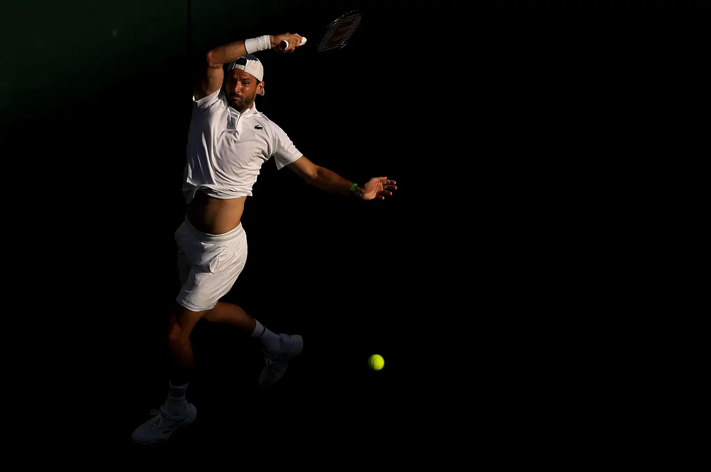 Григор Димитров / Getty Images