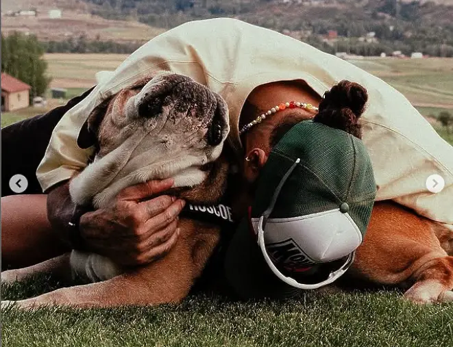 Люис Хамилтън и кучето му Роско / instagram.com/lewishamilton