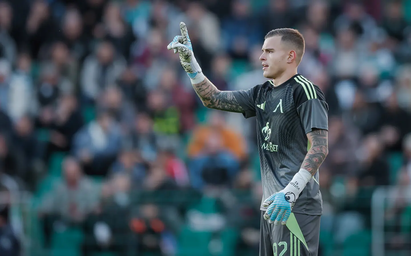 Светослав Вуцов / startphoto.bg