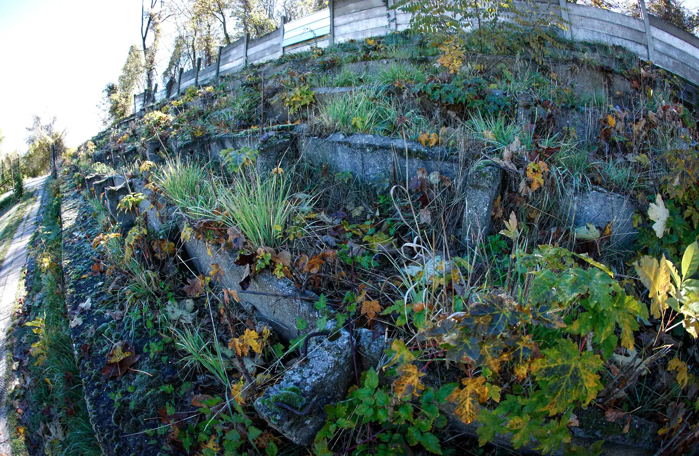 Стадионът на мира / startphoto.bg