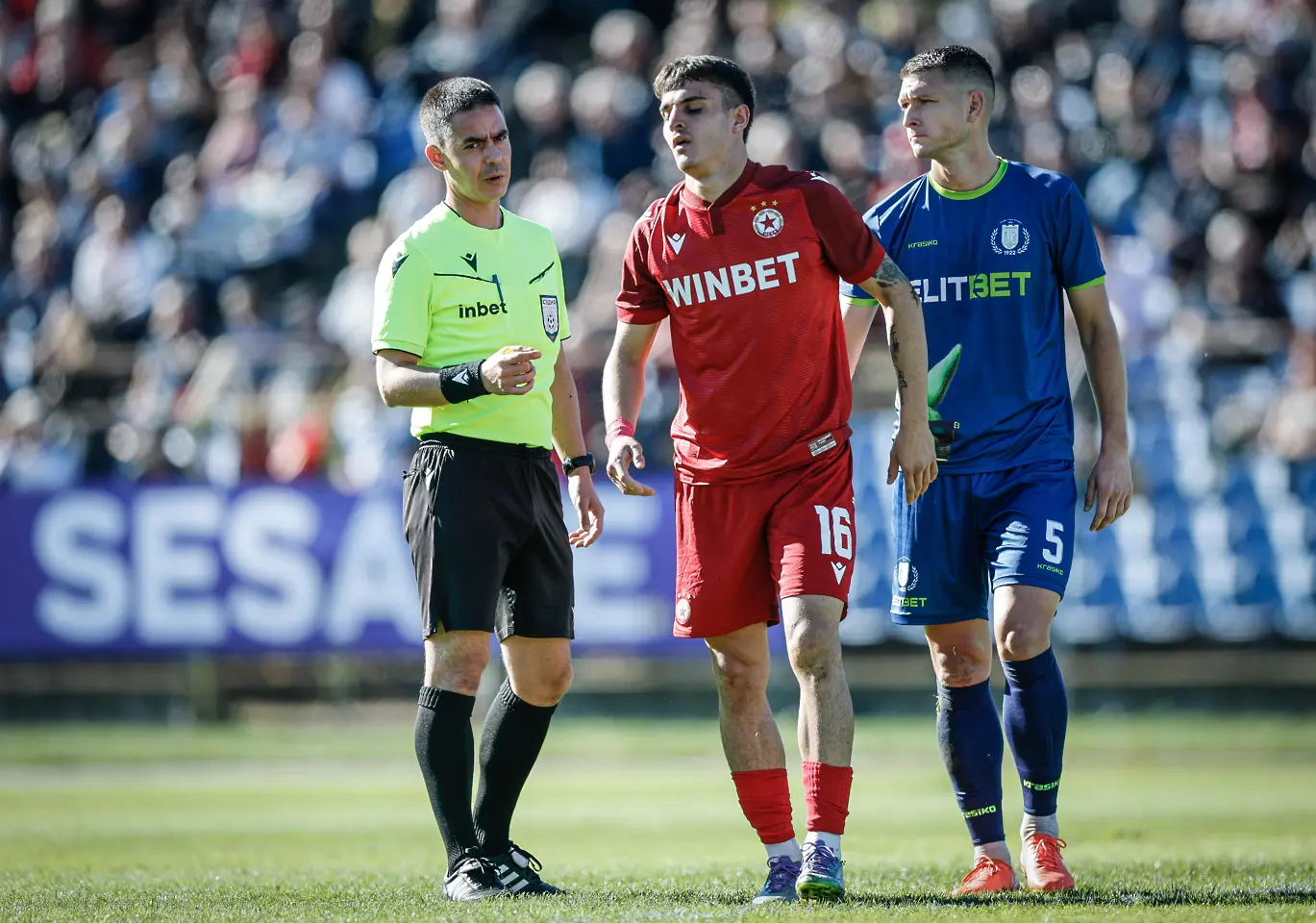 Станимир Тренчев, Георги Чорбаджийски и Петко Ганев / startphoto.bg