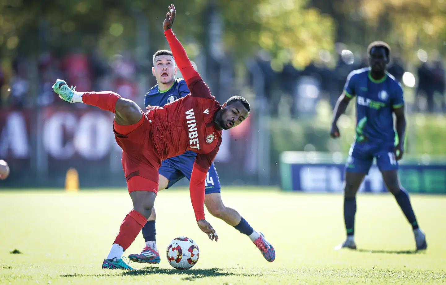 Пастор / startphoto.bg