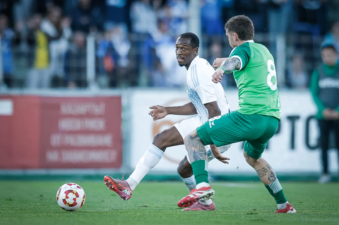 Алдаир / startphoto.bg