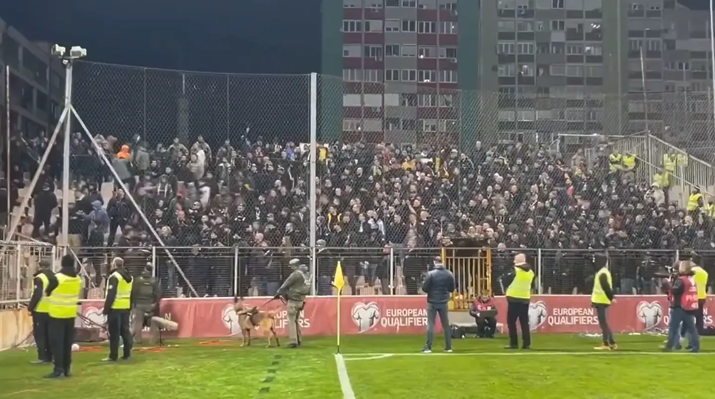 Феновете на Румъния в Зеница / X/BosnianFootball