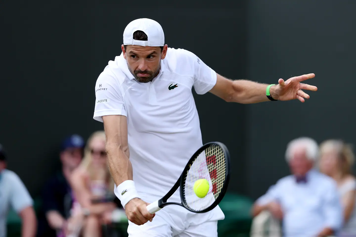 Григор Димитров / Getty Images