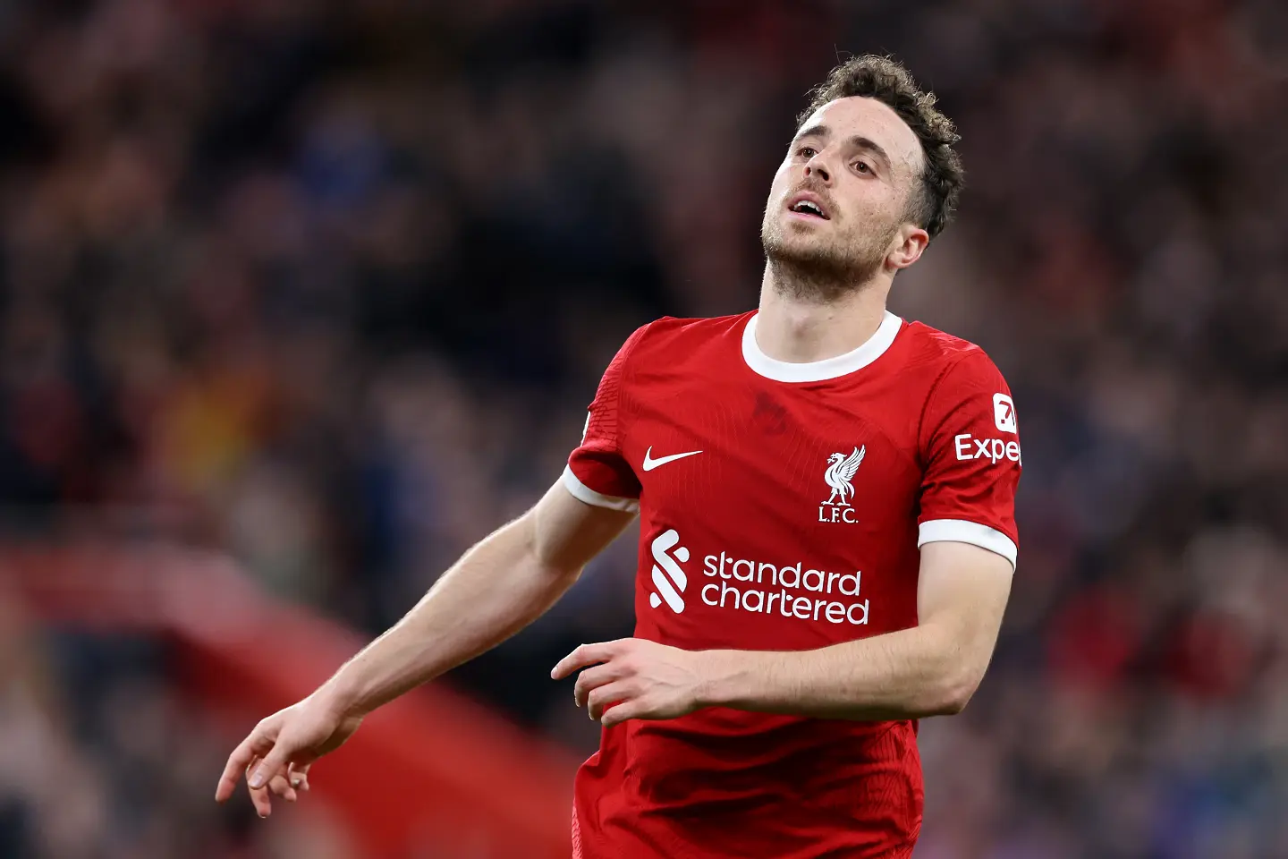 Диого Жота / Getty Images