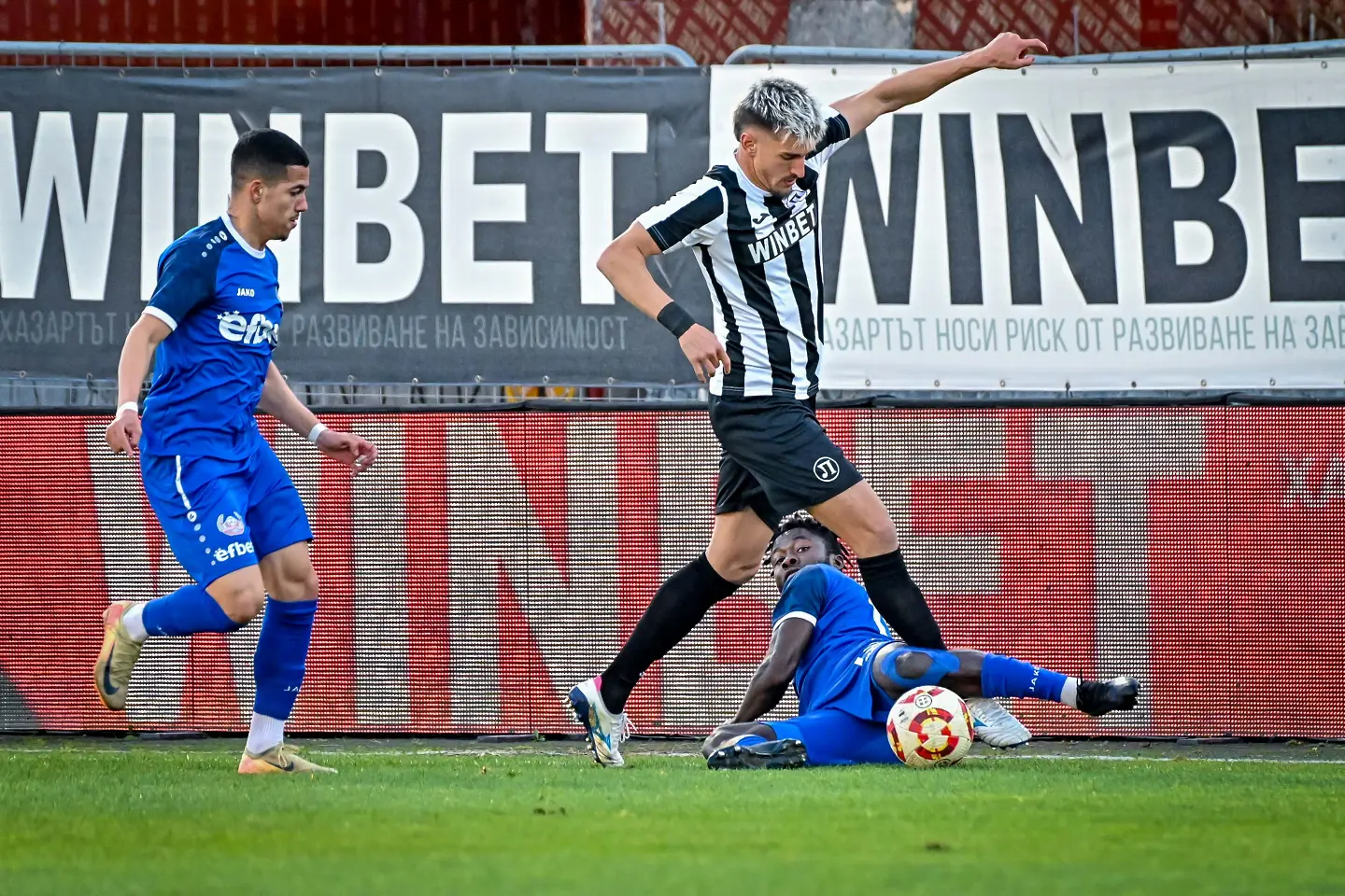 Витиньо, Каталин Иту / startphoto.bg