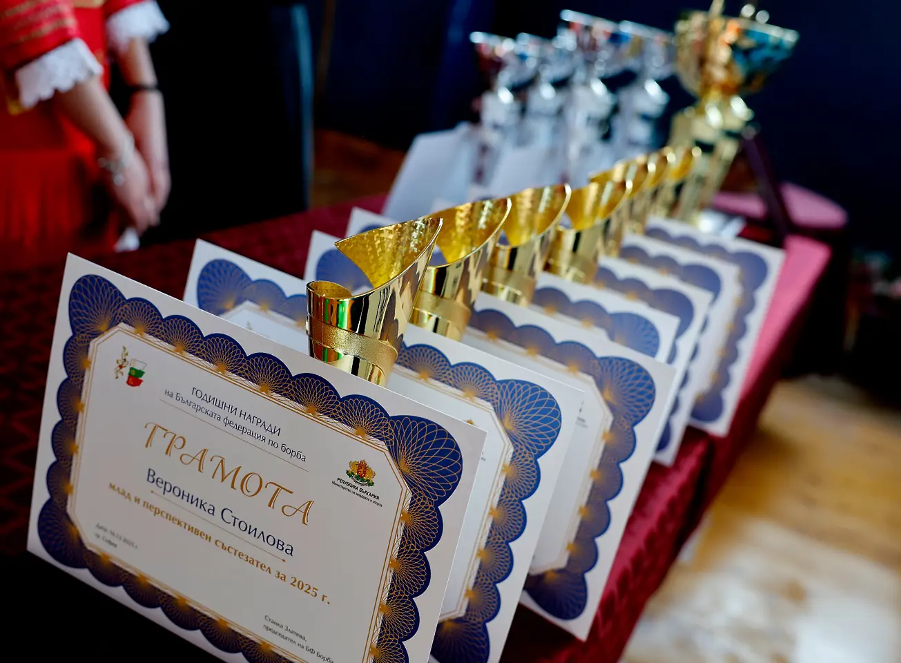 Грамоти и награди от Българската федерация по борба / startphoto.bg 