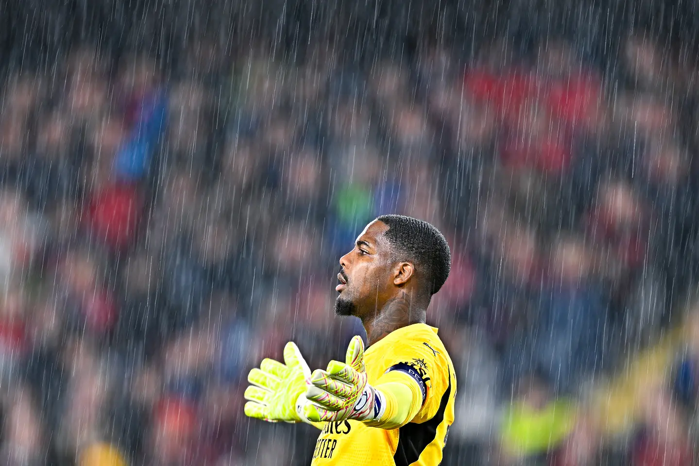 Майк Менян / Getty Images