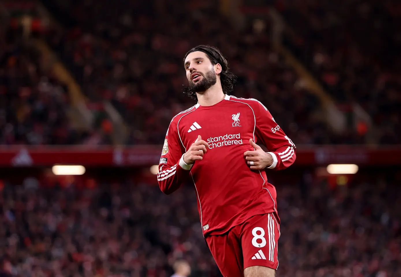 Доминик Собослай / Getty Images