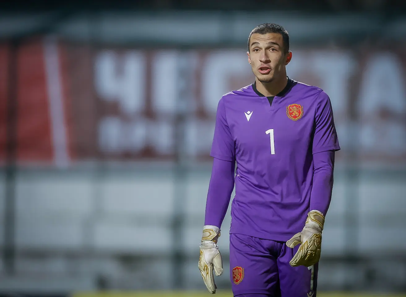 Пламен Андреев / startphoto.bg