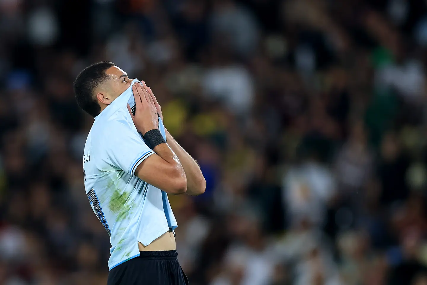 Алисон / Getty Images