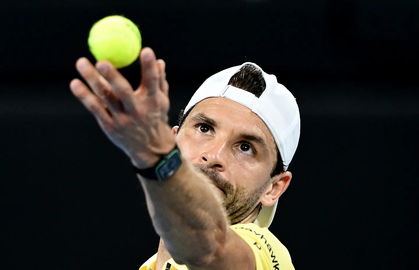 Григор Димитров / Getty Images