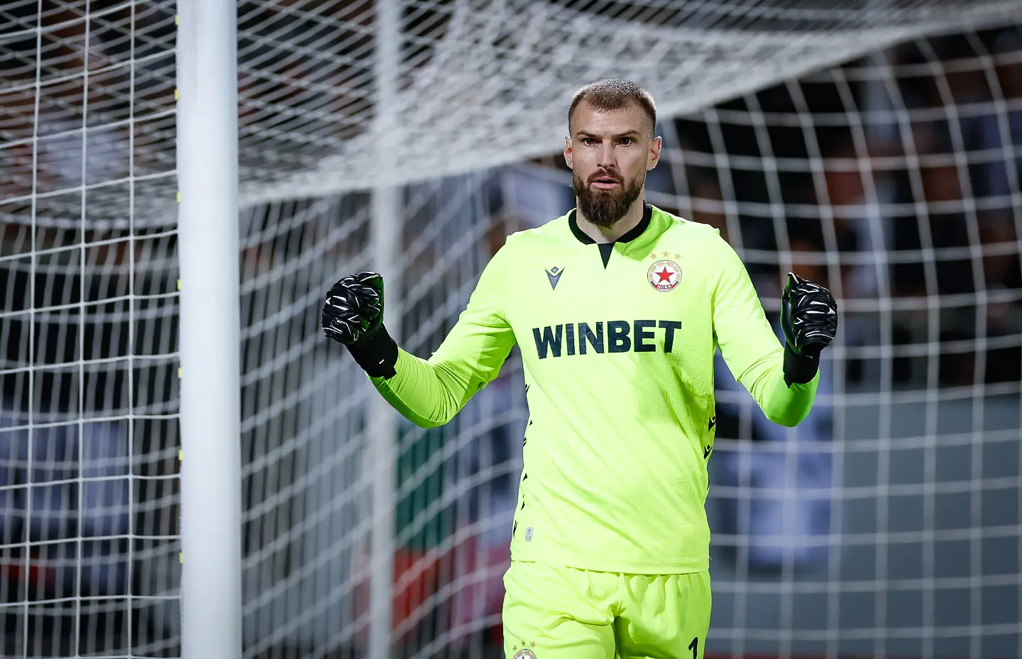 Густаво Бусато / startphoto.bg