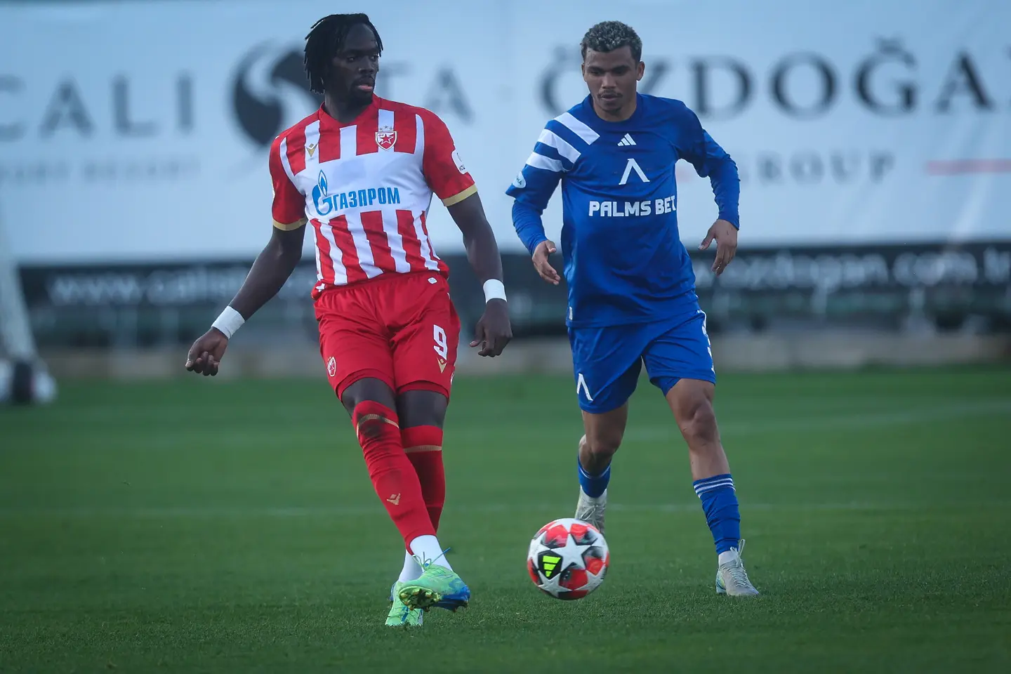 Майкон / startphoto.bg