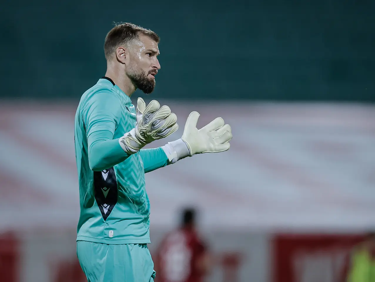 Густаво Бусато / startphoto.bg