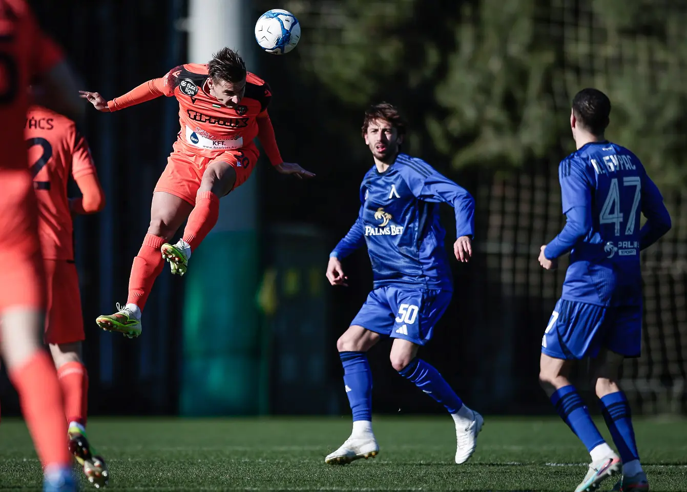 На живо: Левски - Ниредхаза (Състави)