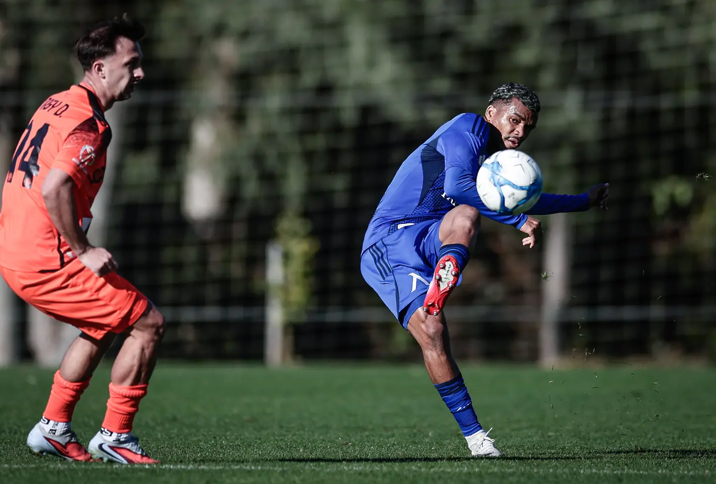 На живо: Левски - Ниредхаза (Състави)