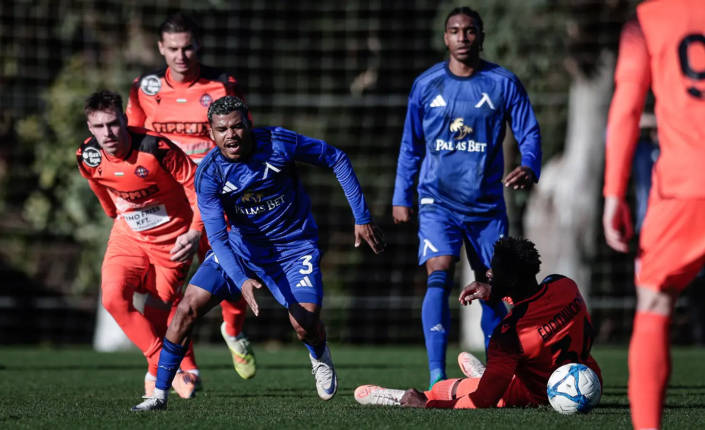 На живо: Левски - Ниредхаза (Състави)