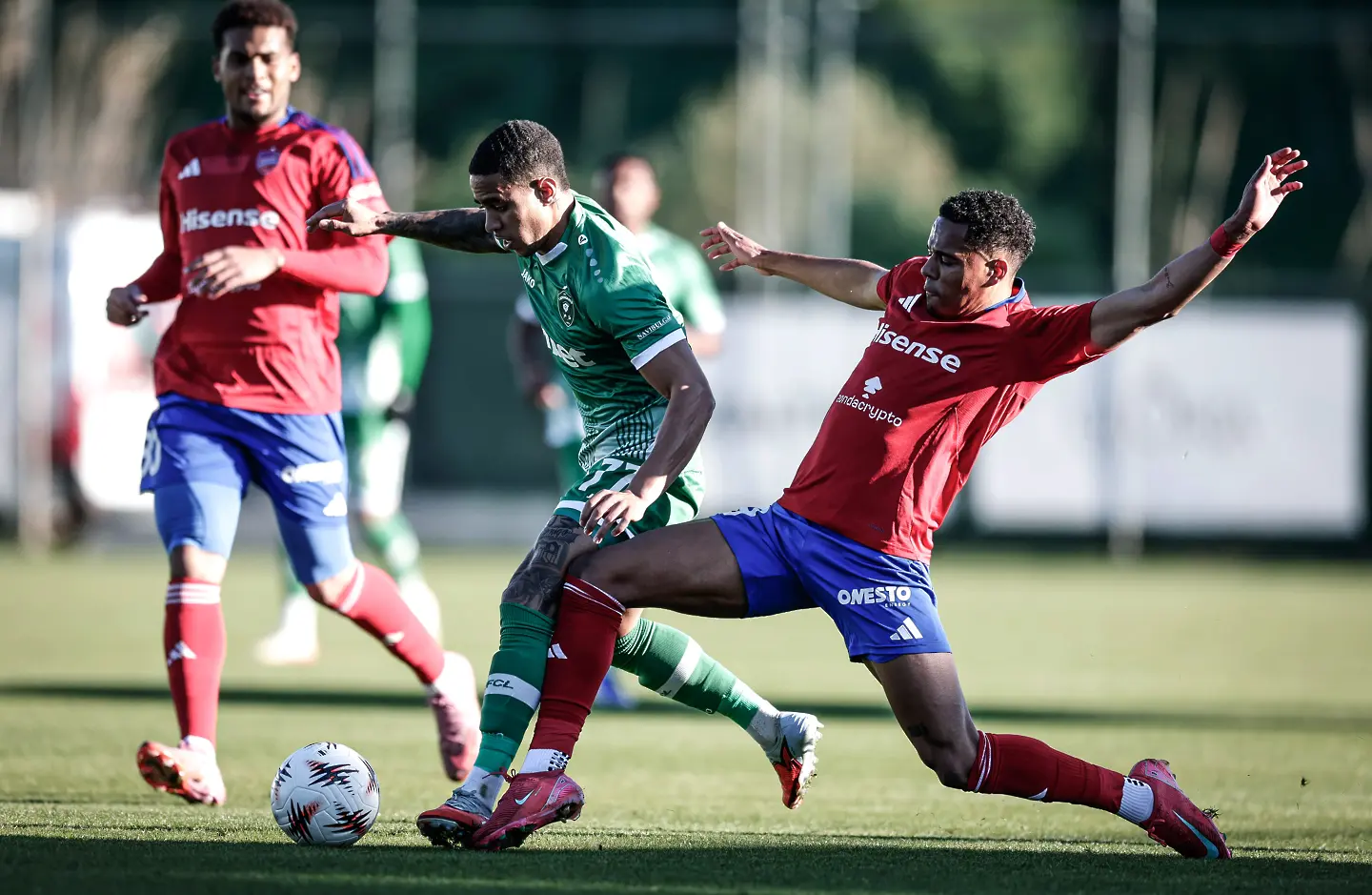 Гледайте на живо: Лудогорец – Ракув (Състави)