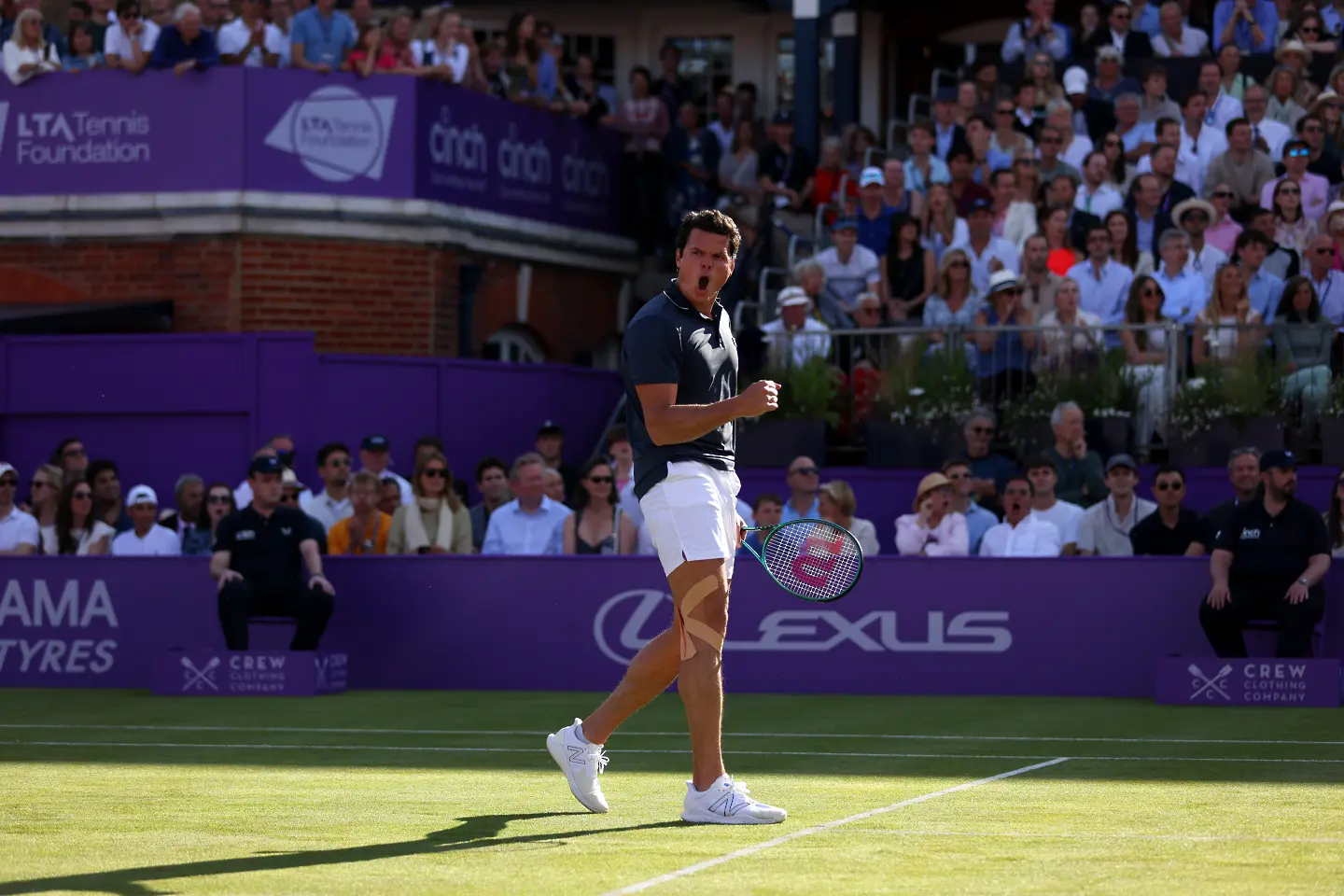 Милош Раонич / Getty Images