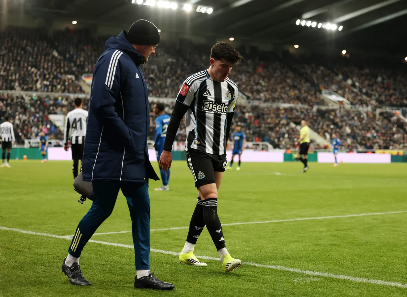 Тино Ливраменто / Getty Images