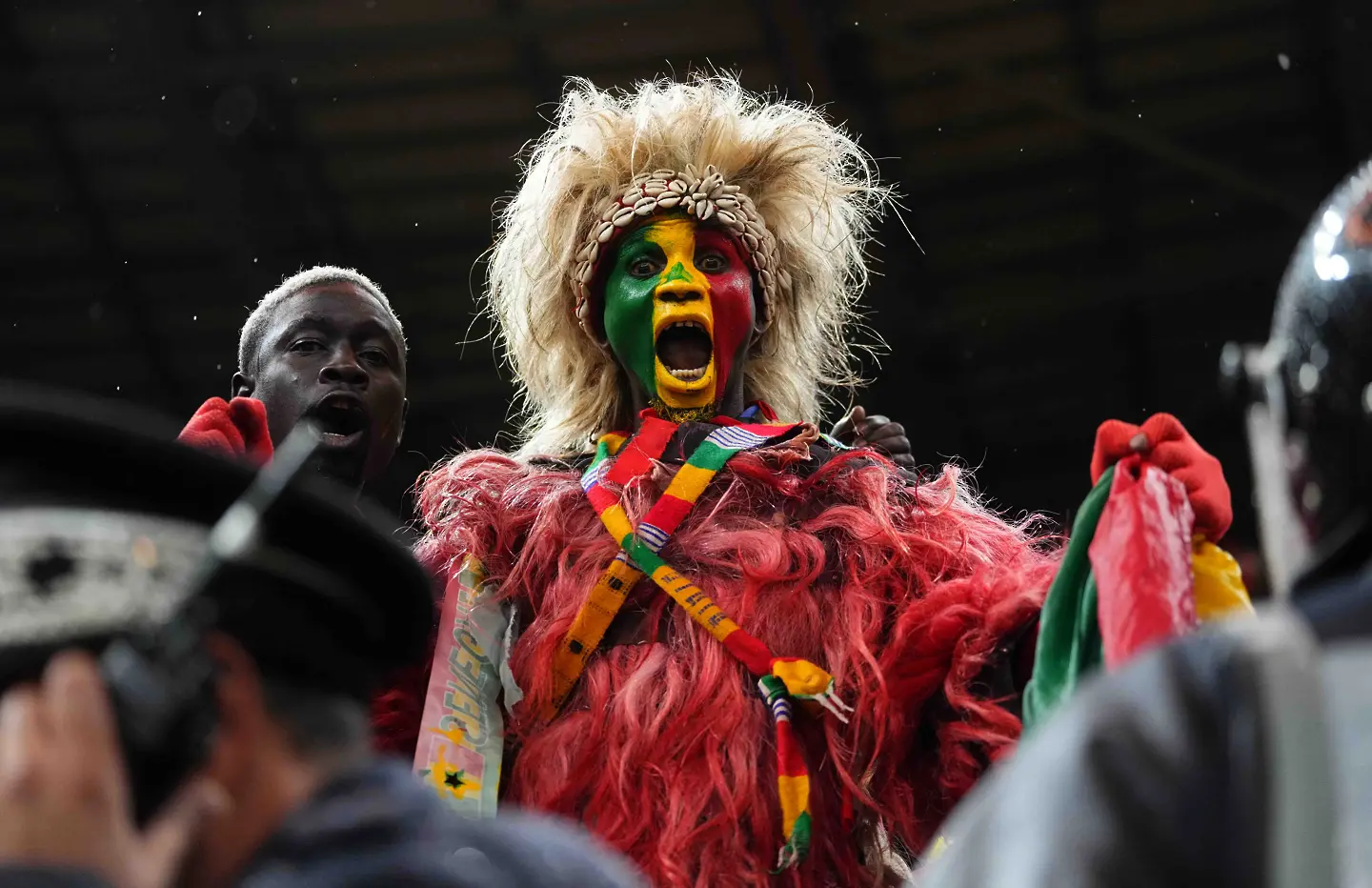 Фен на Сенегал / Getty Images