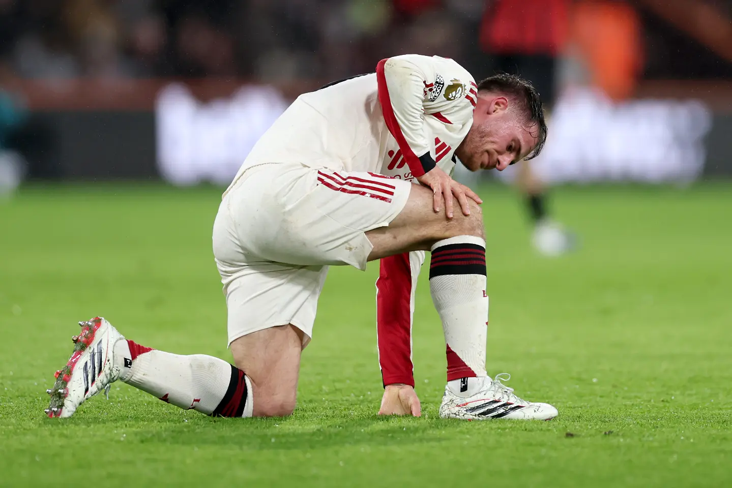 Алексис Мак Алистър / Getty Images