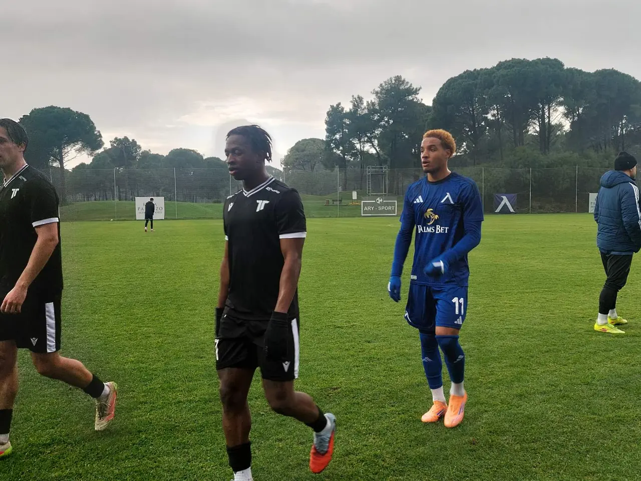 Армстронг Око-Флекс