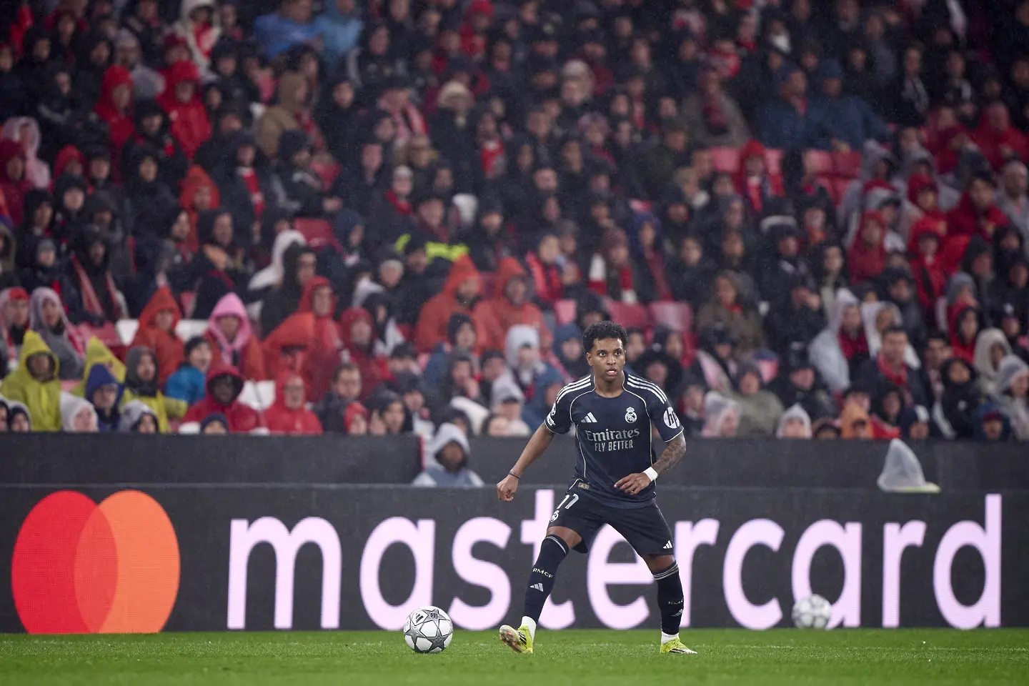 Родриго / Getty Images