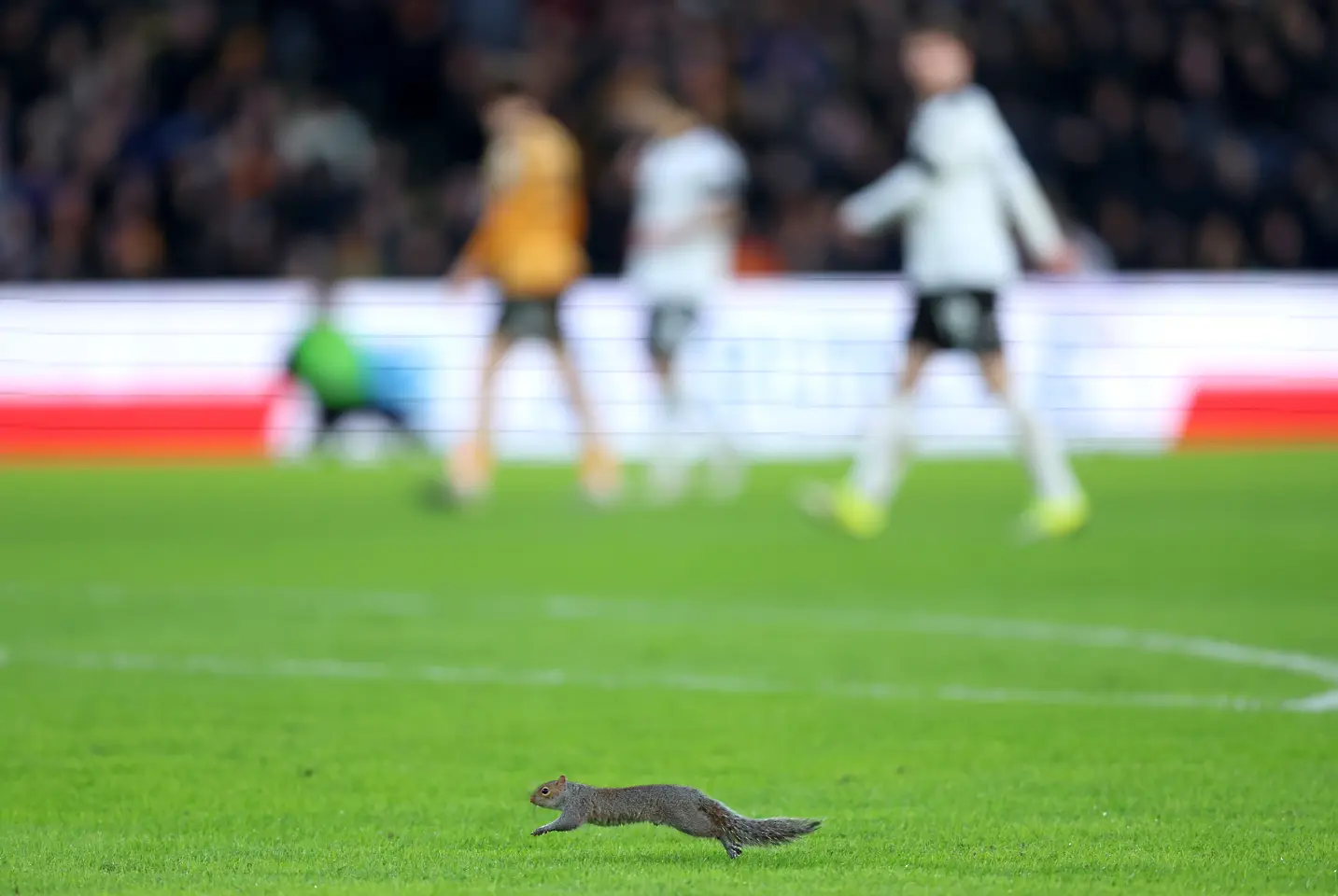 Катерица прекъсна два пъти мача Хъл Сити - Бристол Сити / Getty Images